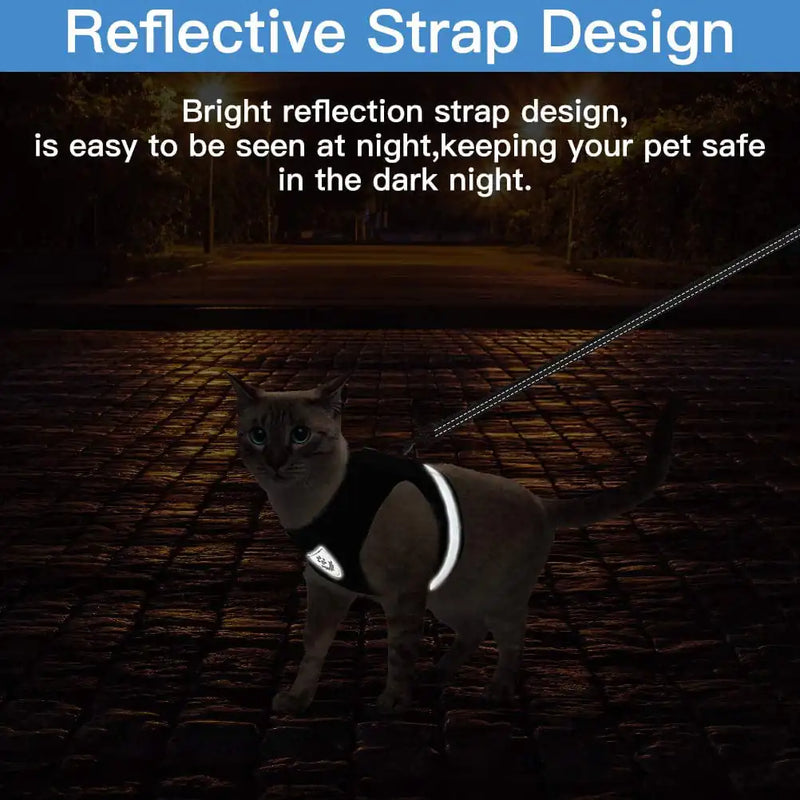 Cozy Cat Pet Harness And Leash - VMX PETS - VMX PETS