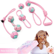 Pet Dog Chew Toys - VMX PETS - VMX PETS