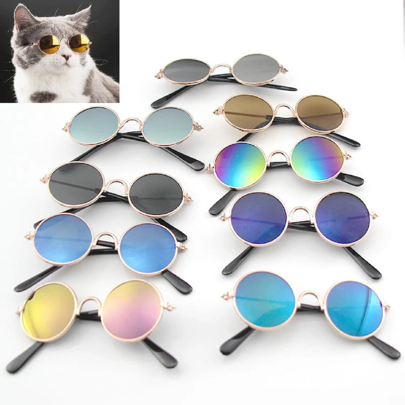 Vintage Round Cat Sunglasses - VMX PETS - VMX PETS