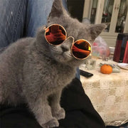 Vintage Round Cat Sunglasses - VMX PETS - VMX PETS