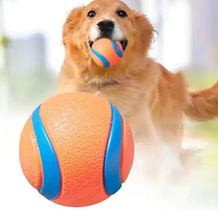Dog Cat Fetch Toy Ball - VMX PETS - VMX PETS