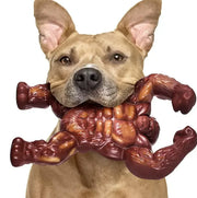 Dog Molar Nibbling Nylon Beef Flavor Toy - VMX PETS - VMX PETS