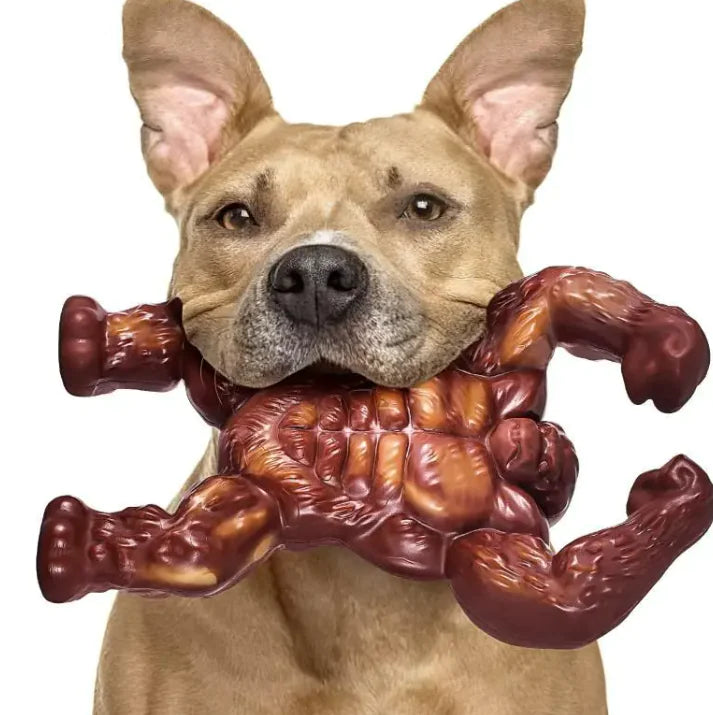 Dog Molar Nibbling Nylon Beef Flavor Toy - VMX PETS - VMX PETS