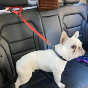 Adjustable Car Dog Seat Belt - VMX PETS - VMX PETS