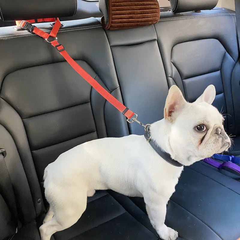 Adjustable Car Dog Seat Belt - VMX PETS - VMX PETS
