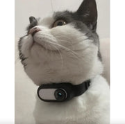 Wireless Pet Collar Camera - Indoor & Outdoor Recording for Cats and Dogs - VMX PETS - VMX PETS