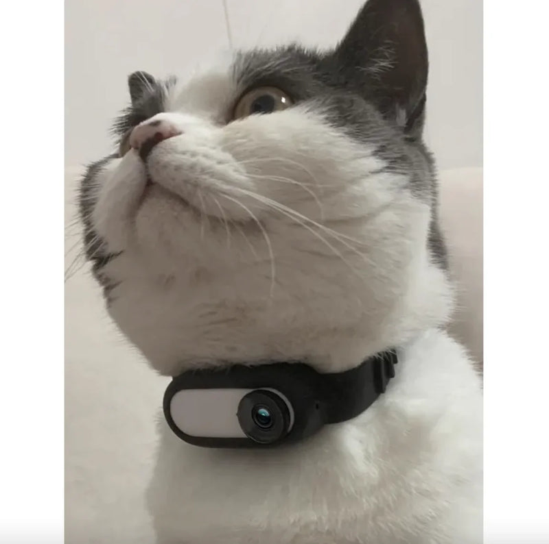 Wireless Pet Collar Camera - Indoor & Outdoor Recording for Cats and Dogs - VMX PETS - VMX PETS