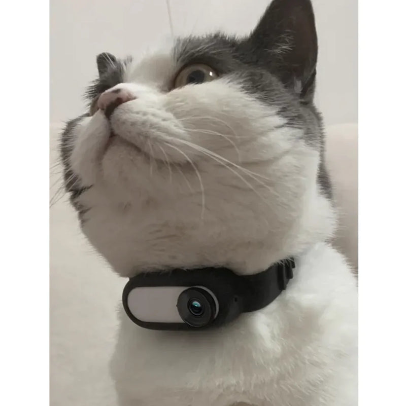 Wireless Pet Collar Camera - Indoor & Outdoor Recording for Cats and Dogs - VMX PETS - VMX PETS