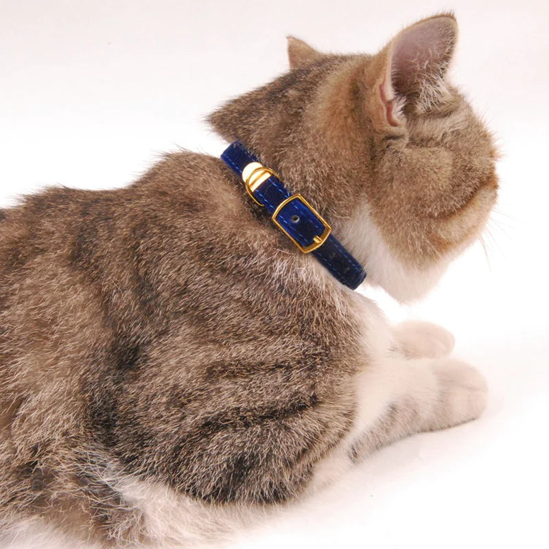 Cat Collar - VMX PETS - VMX PETS