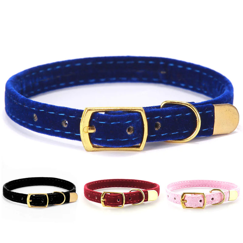 Cat Collar - VMX PETS - VMX PETS