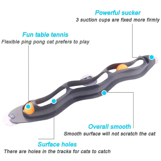 Cat Track Ball Toy - VMX PETS - VMX PETS
