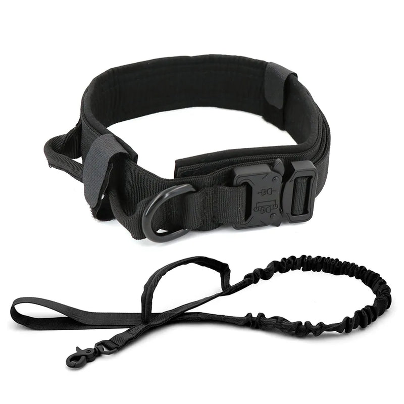 Dog Collar - VMX PETS - VMX PETS