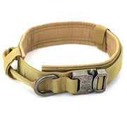 Dog Collar - VMX PETS - VMX PETS