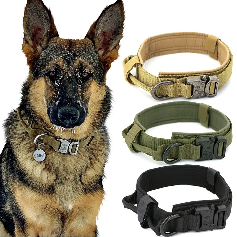 Dog Collar - VMX PETS - VMX PETS