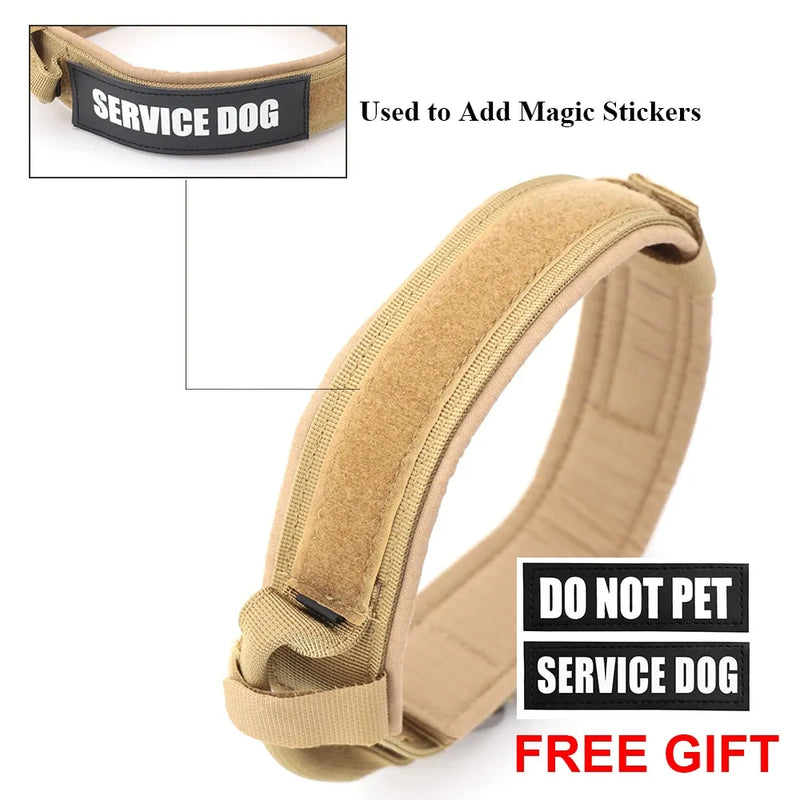 Dog Collar - VMX PETS - VMX PETS