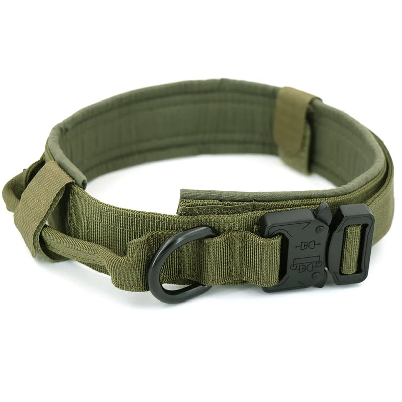 Dog Collar - VMX PETS - VMX PETS