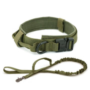 Dog Collar - VMX PETS - VMX PETS