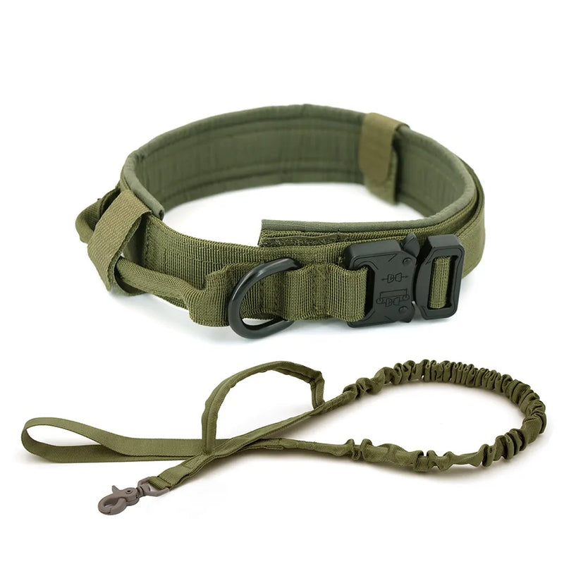 Dog Collar - VMX PETS - VMX PETS