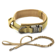 Dog Collar - VMX PETS - VMX PETS
