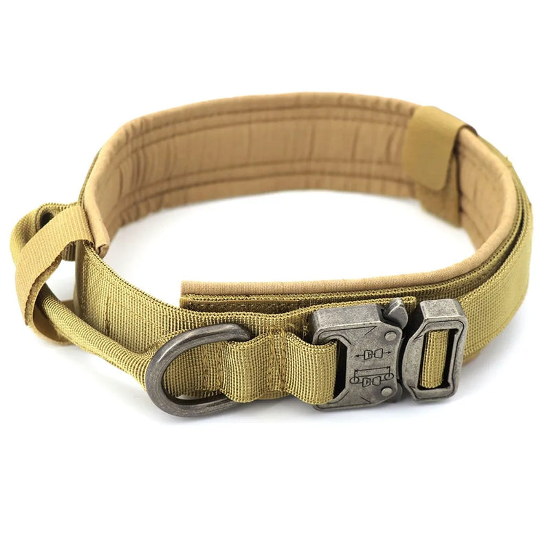 Dog Collar - VMX PETS - VMX PETS