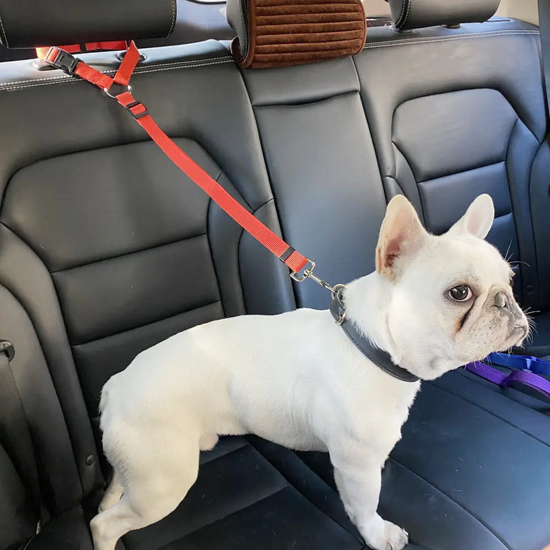 Nylon Dog Seatbelts - VMX PETS - VMX PETS