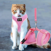 Anti-skidding cat harness - VMX PETS - VMX PETS