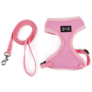 Anti-skidding cat harness - VMX PETS - VMX PETS