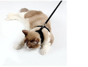Anti-skidding cat harness - VMX PETS - VMX PETS