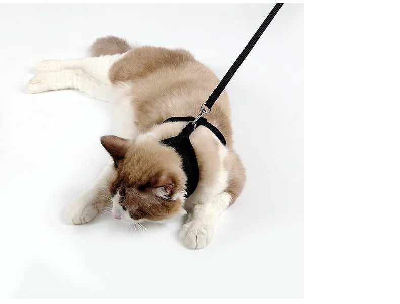 Anti-skidding cat harness - VMX PETS - VMX PETS