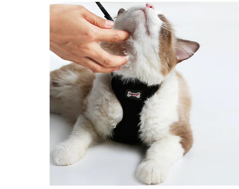 Anti-skidding cat harness - VMX PETS - VMX PETS