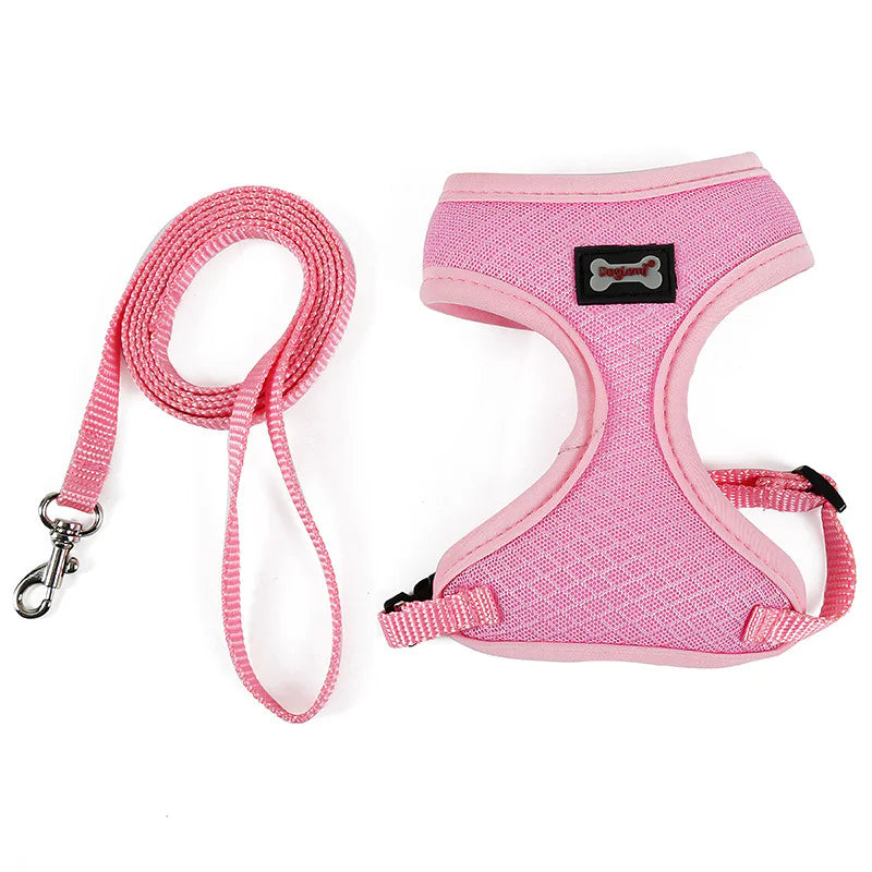 Anti-skidding cat harness - VMX PETS - VMX PETS