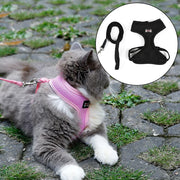 Anti-skidding cat harness - VMX PETS - VMX PETS