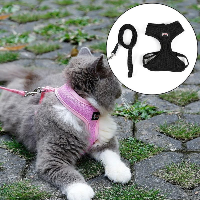 Anti-skidding cat harness - VMX PETS - VMX PETS