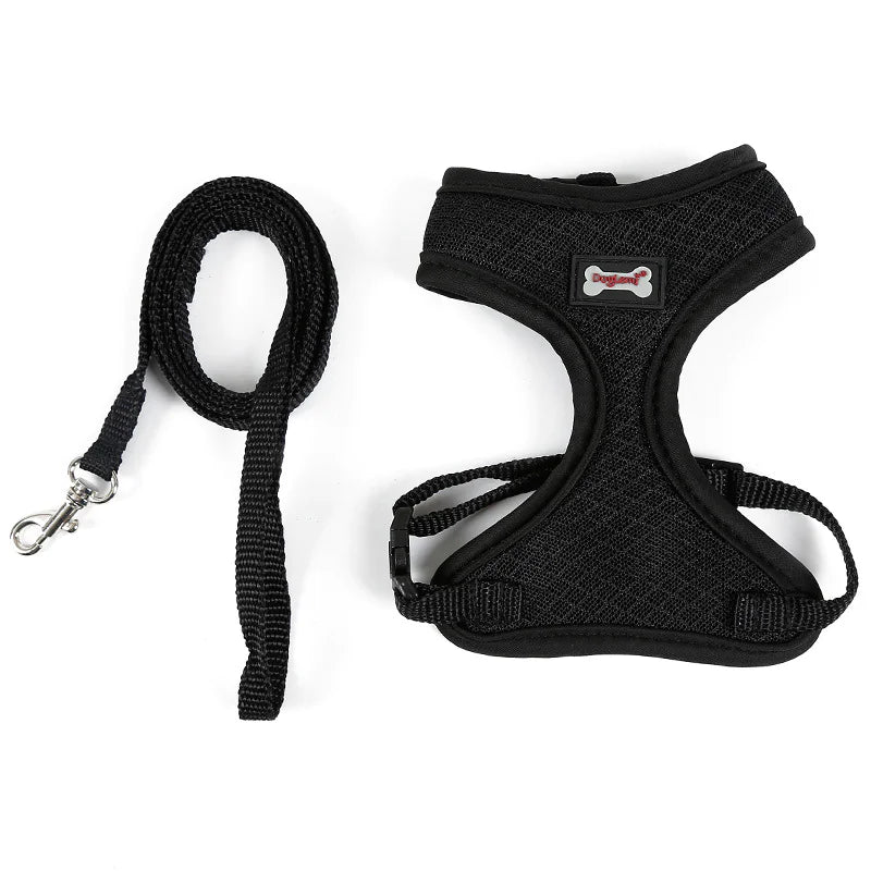 Anti-skidding cat harness - VMX PETS - VMX PETS