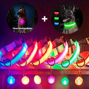 USB Charging Glowing Dog Collar - VMX PETS - VMX PETS