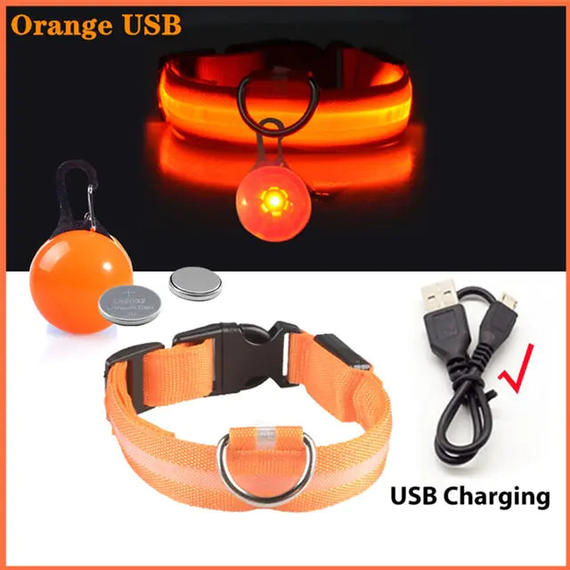 USB Charging Glowing Dog Collar - VMX PETS - VMX PETS