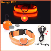 USB Charging Glowing Dog Collar - VMX PETS - VMX PETS