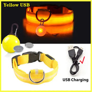 USB Charging Glowing Dog Collar - VMX PETS - VMX PETS