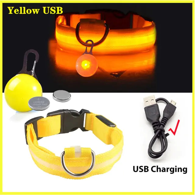 USB Charging Glowing Dog Collar - VMX PETS - VMX PETS