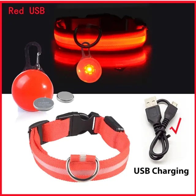 USB Charging Glowing Dog Collar - VMX PETS - VMX PETS