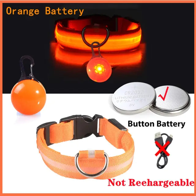USB Charging Glowing Dog Collar - VMX PETS - VMX PETS