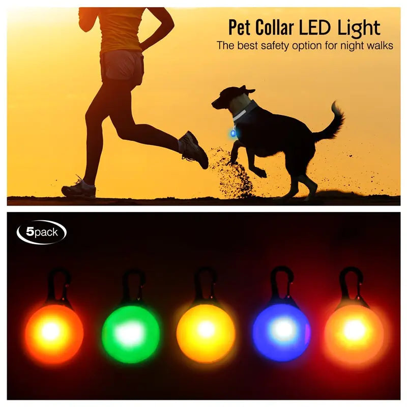 USB Charging Glowing Dog Collar - VMX PETS - VMX PETS