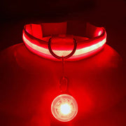 USB Charging Glowing Dog Collar - VMX PETS - VMX PETS
