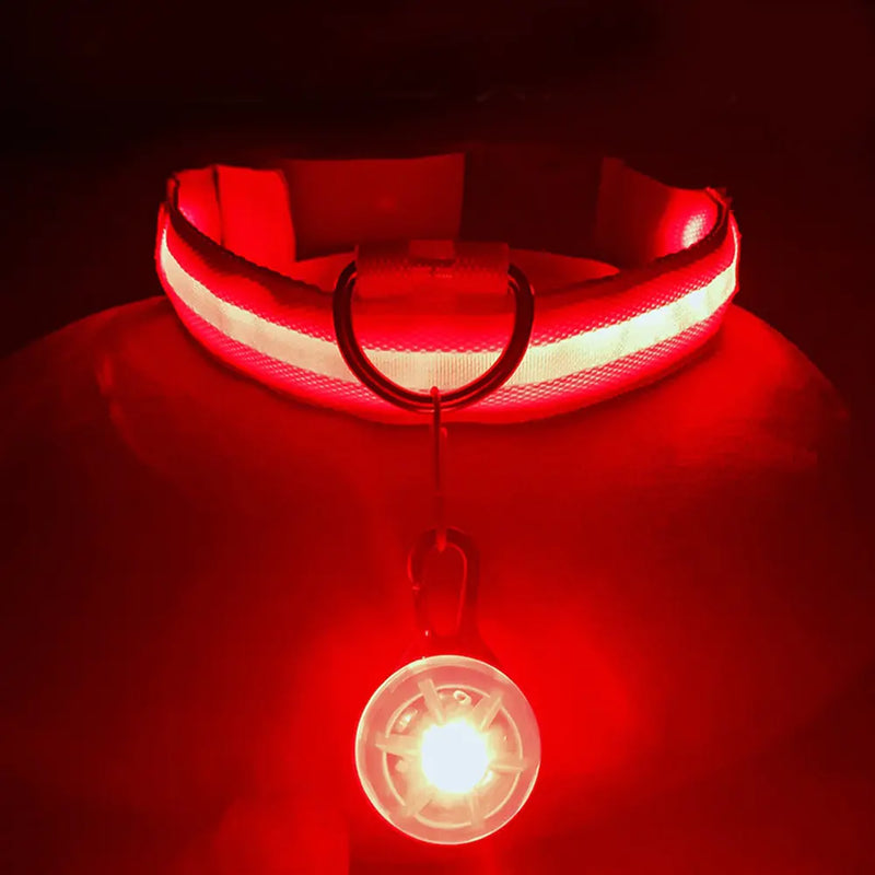 USB Charging Glowing Dog Collar - VMX PETS - VMX PETS