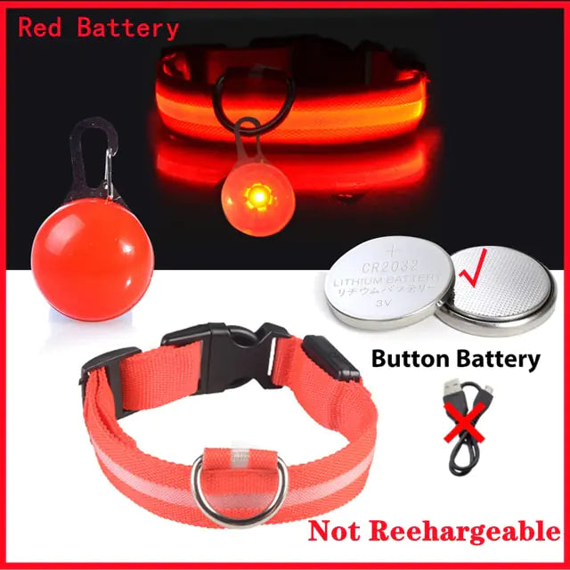 USB Charging Glowing Dog Collar - VMX PETS - VMX PETS