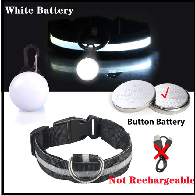 USB Charging Glowing Dog Collar - VMX PETS - VMX PETS