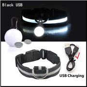 USB Charging Glowing Dog Collar - VMX PETS - VMX PETS