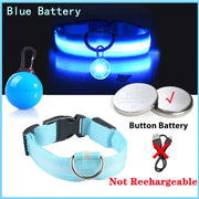 USB Charging Glowing Dog Collar - VMX PETS - VMX PETS