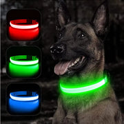 USB Charging Glowing Dog Collar - VMX PETS - VMX PETS