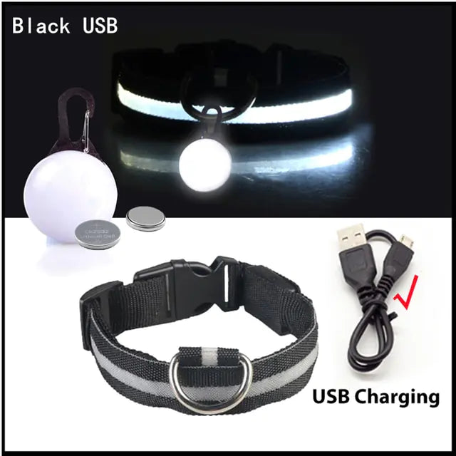 USB Charging Glowing Dog Collar - VMX PETS - VMX PETS